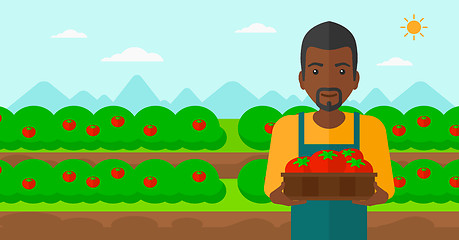 Image showing Farmer collecting tomatos.