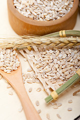 Image showing organic wheat grains 