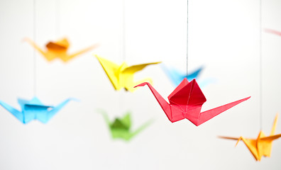 Image showing origami crane birds