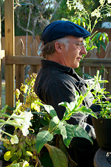 Image showing profile of man sitting in garden