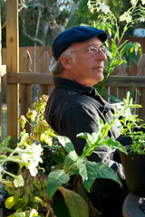 Image showing man in garden looking pleased