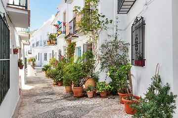 Image showing Picturesque narrow street decorated with plants