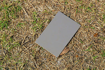 Image showing photography grey card in sunshine