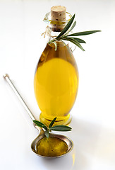 Image showing Extra virgin Olive oil