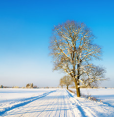 Image showing Winter road in the countryside, a beautiful winter day