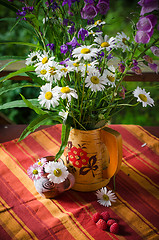 Image showing A bouquet of daisies in a jug at the table