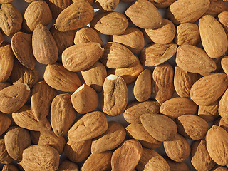 Image showing Almonds dried fruit