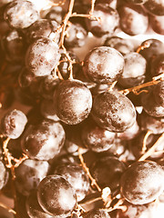 Image showing Retro looking Grape picture