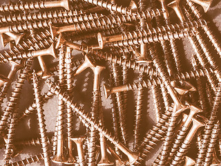 Image showing  Wood screw vintage