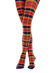 Image showing Legs in multicolored fancy tights
