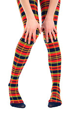 Image showing Funny legs in multicolored tights