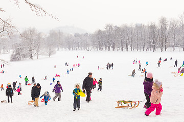 Image showing Winter fun, snow, family sledding at winter time.