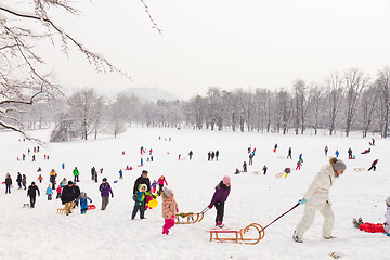 Image showing Winter fun, snow, family sledding at winter time.