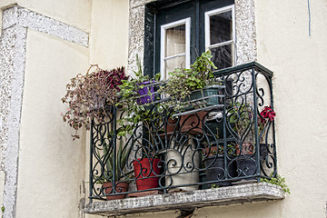 Image showing beautiful old windows