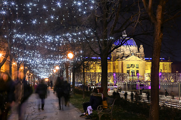 Image showing Illuminated tree alley in Zagreb