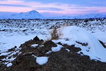 Image showing Winter landscape with evening light