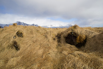 Image showing Basalt stones at the cave near Vik, Iceland