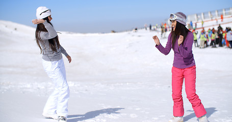 Image showing Two young women having a snow fight
