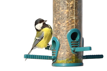 Image showing isolated bird on feeder
