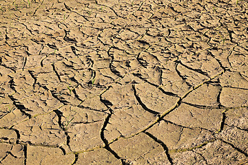 Image showing cracked earth field  