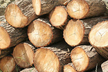 Image showing Stacked Wood