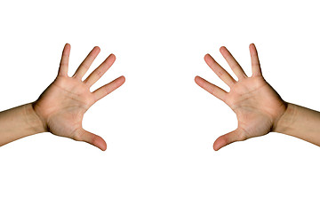 Image showing Open palm hand