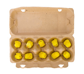 Image showing Easter chicks in an eggbox