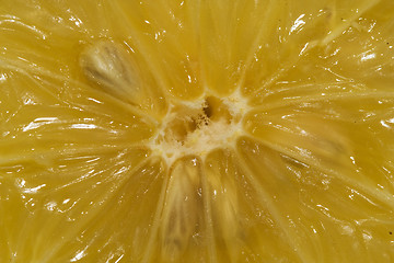 Image showing Lemon Sun