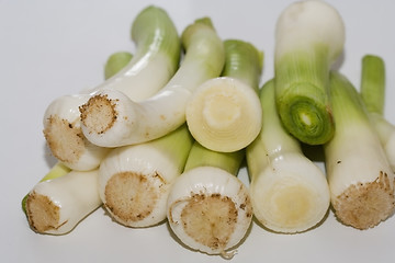 Image showing Allium