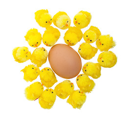 Image showing Single easter chick with a large egg