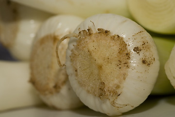 Image showing Allium closeup