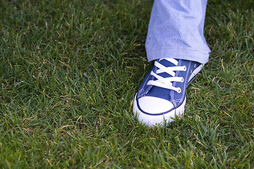 Image showing Feet on the Grass