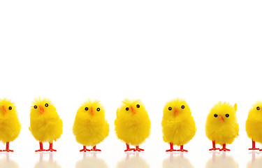 Image showing Abundance of easter chicks on a row