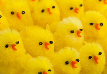 Image showing Abundance of easter chicks, selective focus