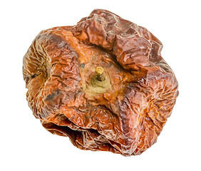 Image showing dry rotten apple