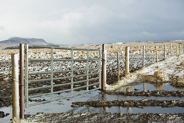 Image showing Fence of farm animals