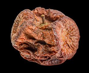 Image showing dry rotten apple