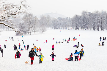 Image showing Winter fun, snow, family sledding at winter time.