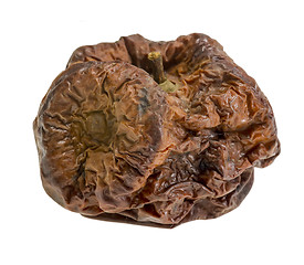 Image showing dry rotten apple