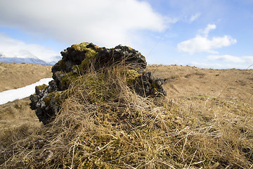 Image showing Basalt stones at the cave near Vik, Iceland