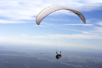 Image showing Paraglider flying