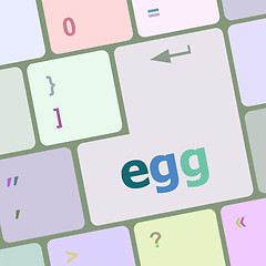 Image showing egg word on computer pc keyboard key vector illustration