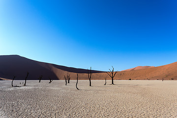 Image showing Hidden Vlei in Namib desert 