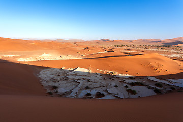 Image showing Hidden Vlei in Namib desert 