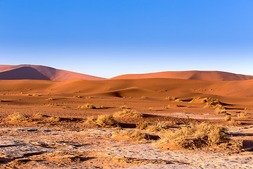 Image showing Hidden Vlei in Namib desert 