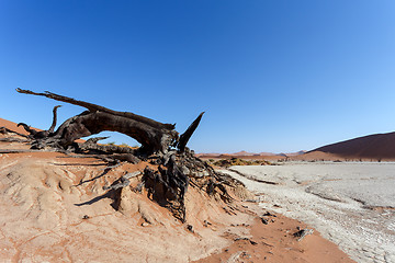 Image showing Hidden Vlei in Namib desert 