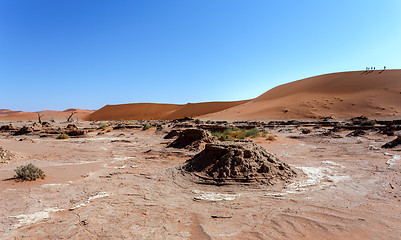 Image showing Dune in Hidden Vlei in Namib desert 