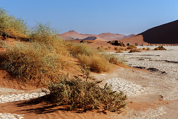 Image showing Hidden Vlei in Namib desert 