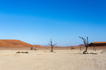 Image showing Hidden Vlei in Namib desert 