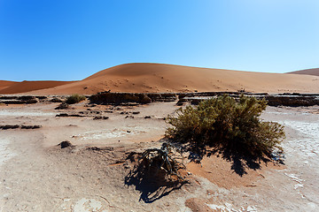 Image showing Dune in Hidden Vlei in Namib desert 
